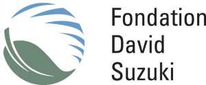 Fondation suzuki.png
