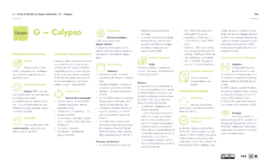 Fichier:Calypso carte identité.png